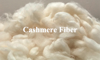 Độ mịn của sợi áo len cashmere Mông Cổ xác định kết cấu